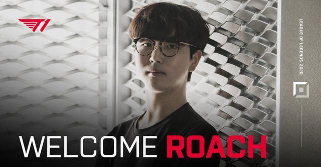 仅仅体现在 仅仅体现在